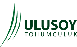 Ulusoy Tohumculuk logosu